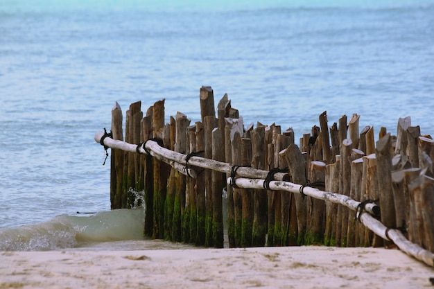 Free Photo closeup of vertical wooden planks of an unfinished dock on the beach surrounded by the sea