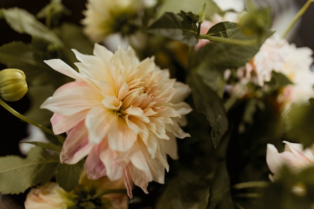 Free photo closeup of white and pink flower