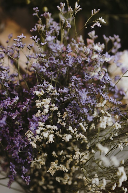 Free photo closeup of white and purple caspia flowers