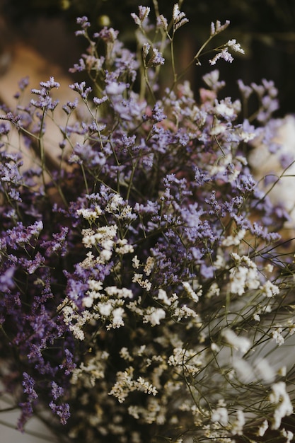 Closeup of white and purple caspia flowers