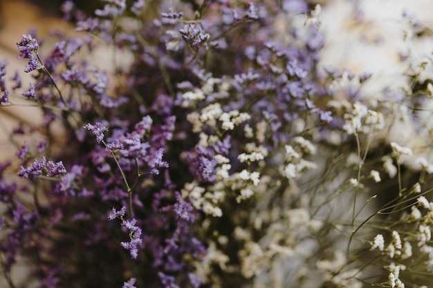 Free photo closeup of white and purple caspia flowers