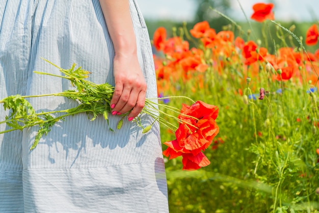 Closeup of young beautiful woman holds a poppy bouquet in her hands in a poppy field on sunny summer day