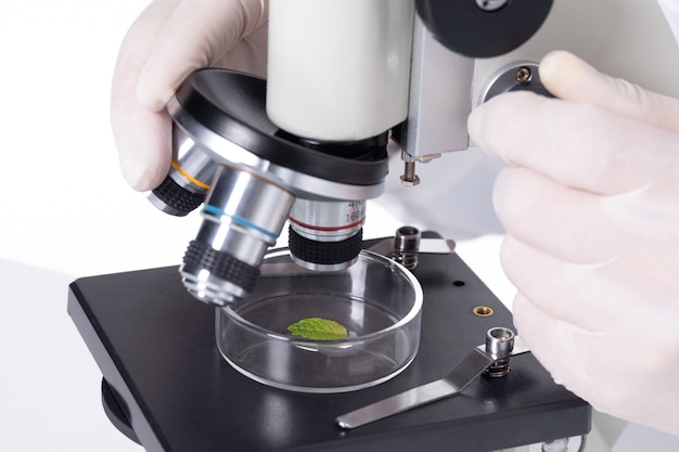 Free photo closeupof a scientist examining leaves under a microscope in a laboratory