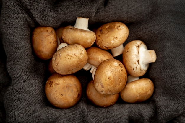 Cloth grey box filled with mushrooms