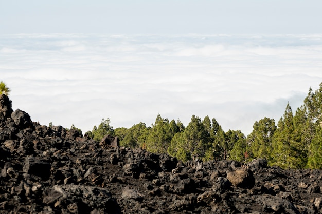 Clouds seen from a mountain