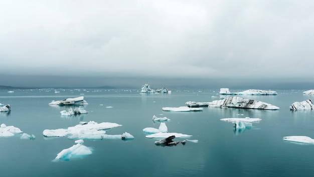 Free Photo cloudy nature landscape by lake