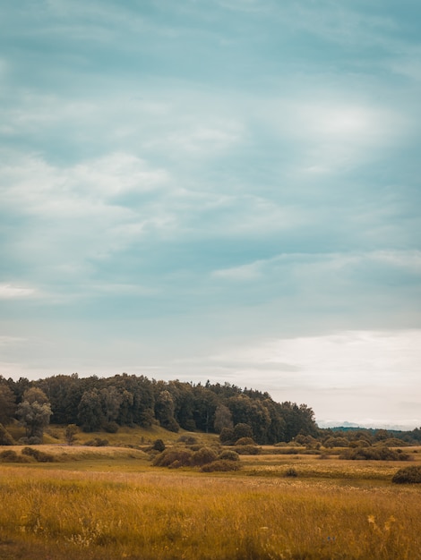 Free Photo cloudy sky above the hills with dry grass in a rural area