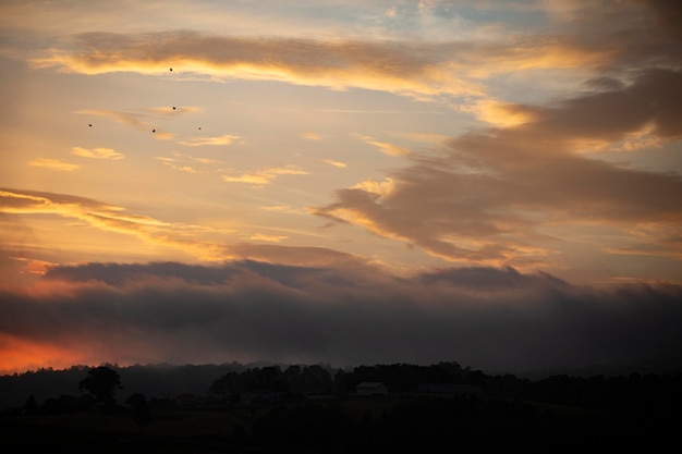 Free photo cloudy sky landscape background