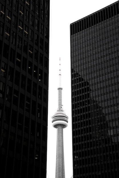 Free photo cn tower in between glass skyscrapers