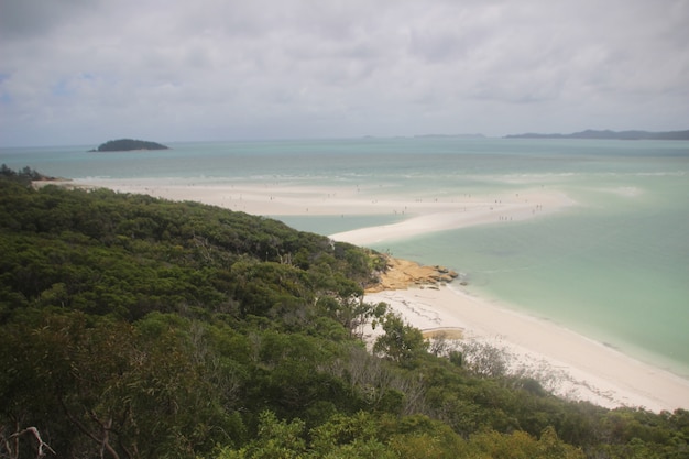 coast landscape