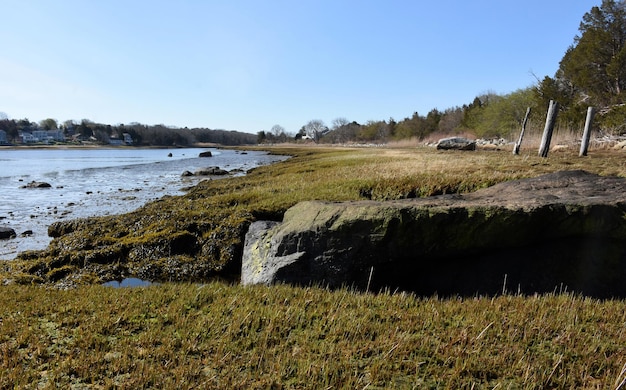 Coastal Beach With Salt Marsh and Sea Grass