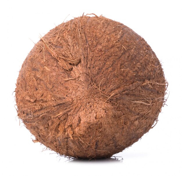 Coconut on the table