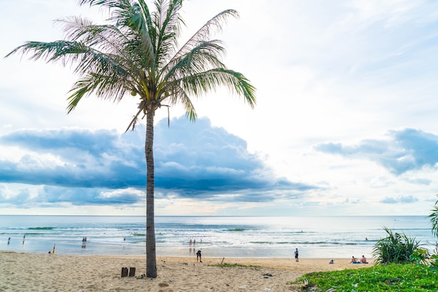 coconut tree with tropical beach