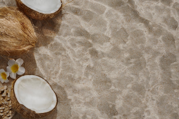 Free photo coconut underwater still life