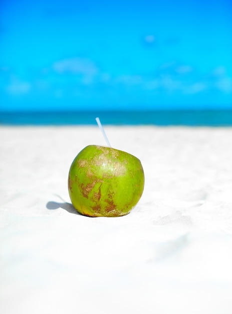 Free Photo coconut on white beach sand  near ocean on sunny summer day