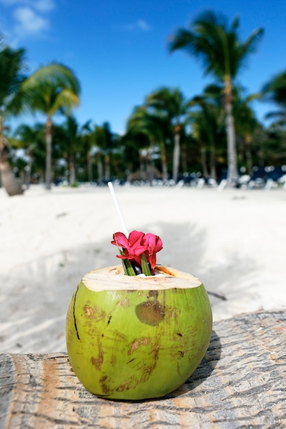 Free Photo coconut with drinking straw on a palm tree in the beach