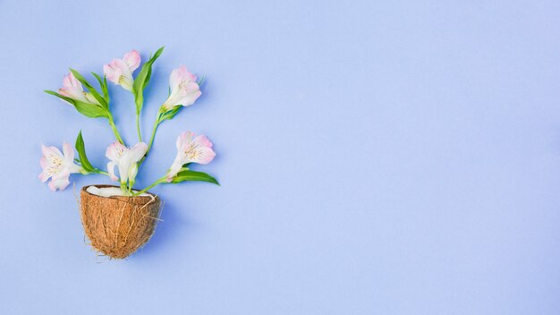 Coconut with tropical flowers