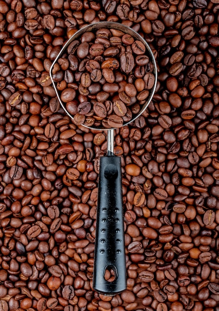 Free photo coffee beans in a coffeepot or turk on coffee beans top view