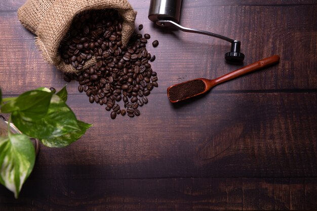 Coffee beans and ground powder .