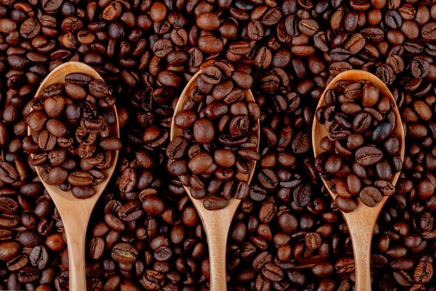 Coffee beans in wooden spoons on coffee beans top view