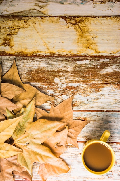 Coffee near dried leaves