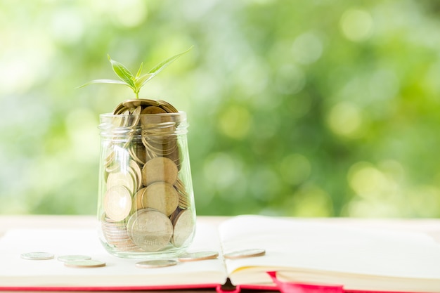 A coin in a glass bottle with a small tree