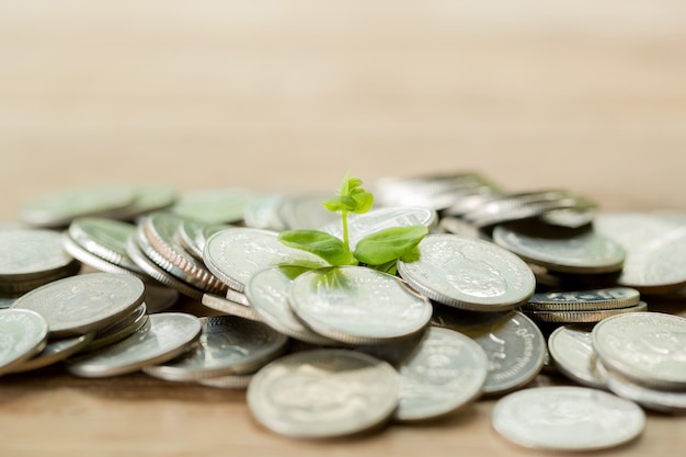 Free Photo coin on wooden table 