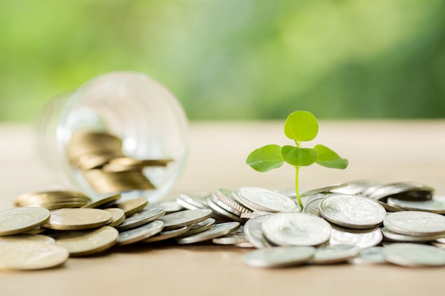 Free Photo coin on wooden table 