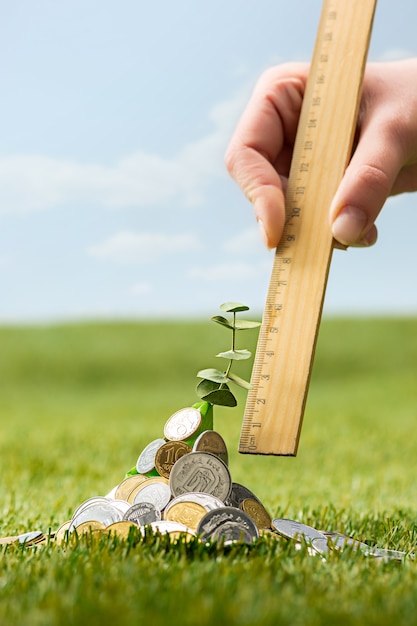 Free Photo coins on grass