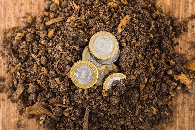 Coins in ground on table