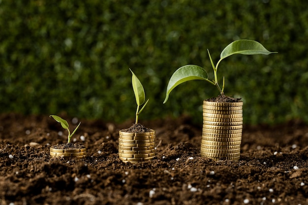 Free Photo coins stacked on dirt with plants