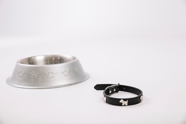 Free photo collar near pet bowl