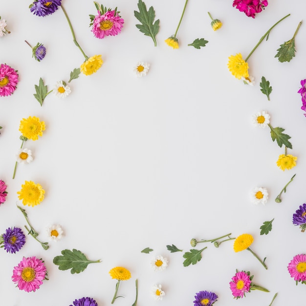 Collection of colourful flowers