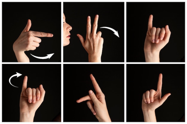 Collection of hand gestures for sign language