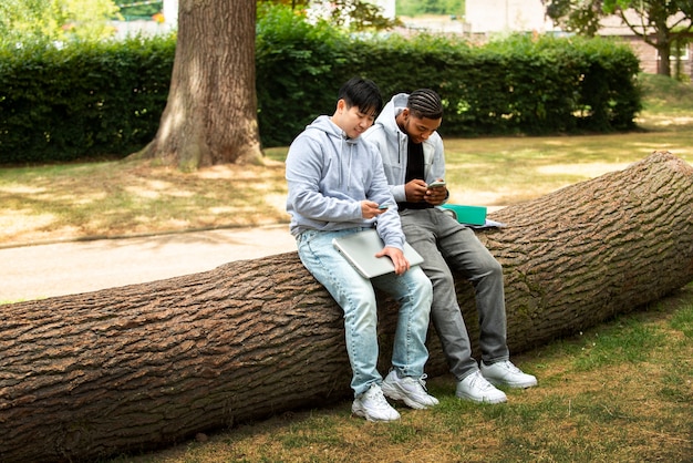 College students cramming outdoor