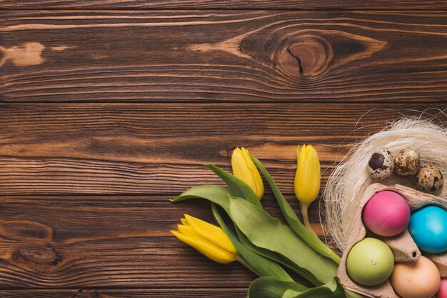 Colored eggs near tulips and nest