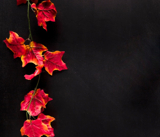 Free photo colored twig with leaves on black board