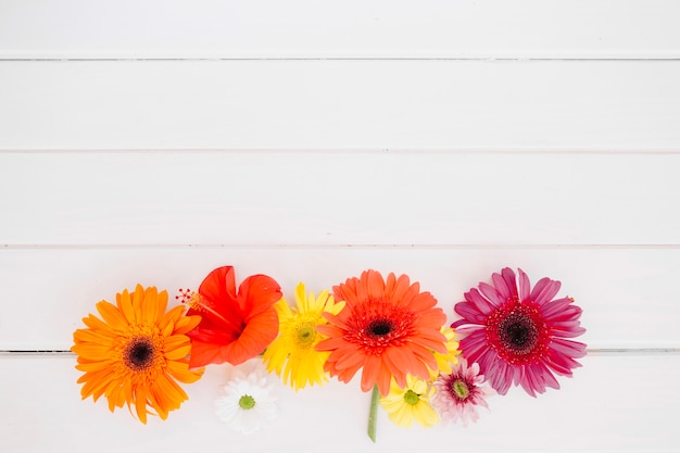 Colorful arrangement of flowers on white