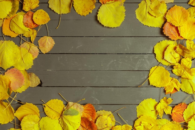 Free photo colorful autumn leaves over wood background with copy space