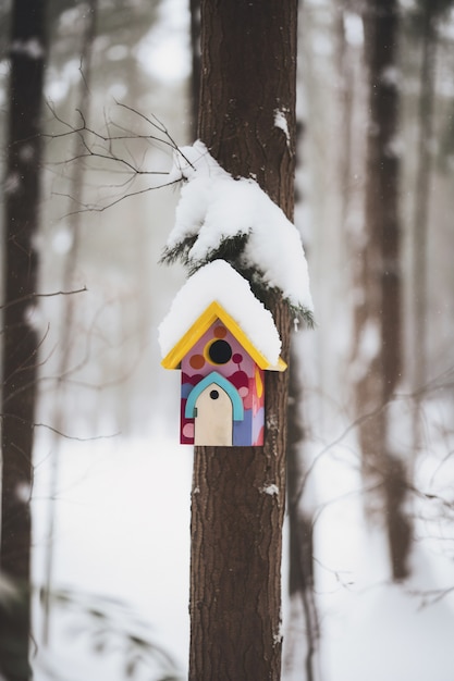 Free Photo colorful bird house outdoors