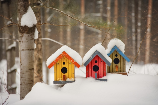 Colorful bird houses outdoors