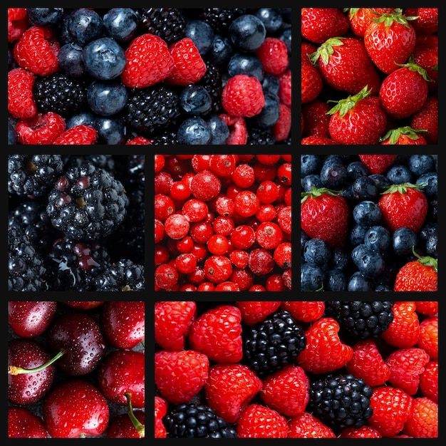 Free Photo colorful collage of fruits texture close up