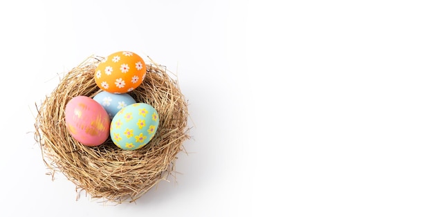 Colorful easter eggs in nest on white copy space background