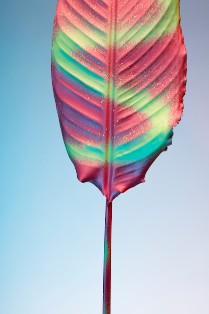 Free photo colorful exotic leaf close up