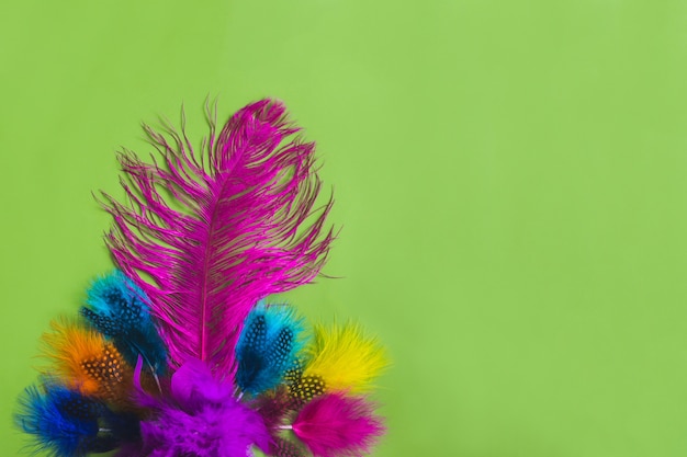 Colorful feathers on a green table