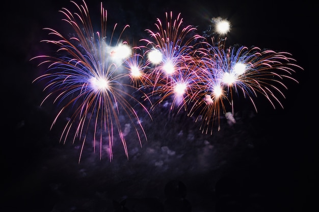 Colorful fireworks on the black sky