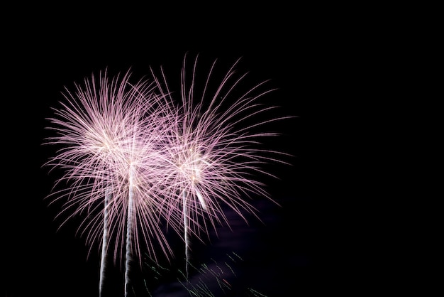 Free photo colorful fireworks in night sky