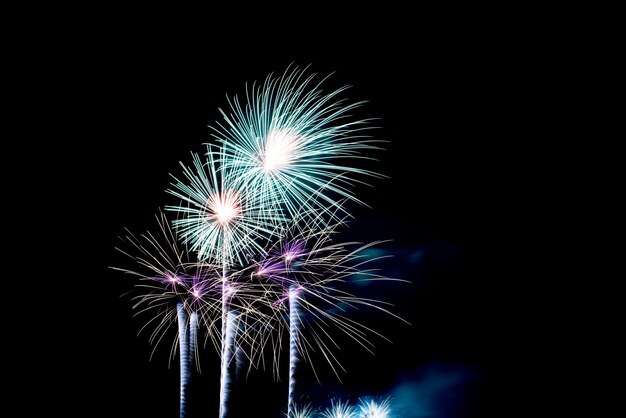 Free photo colorful fireworks in night sky