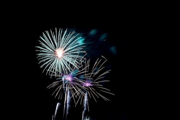 Colorful fireworks in night sky