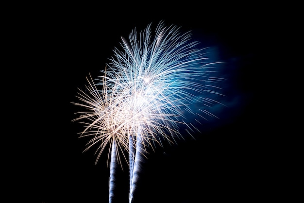 Free photo colorful fireworks in night sky